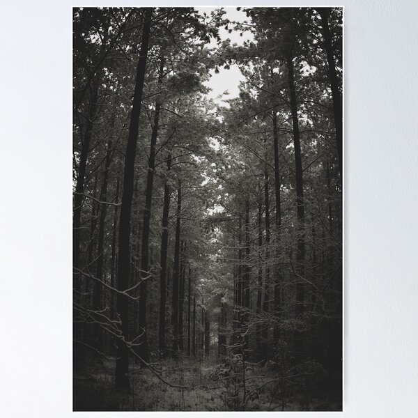 Item preview, Dark Snow Pines  designed and sold by WilsonFineArt.