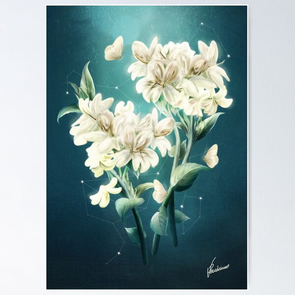 Item preview, Luna tocada designed and sold by DVerissimo.