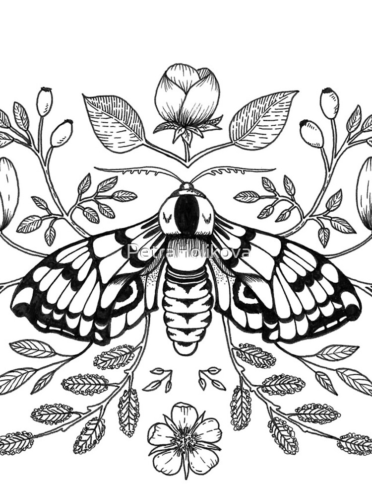 Black Moth with Berries and Rosehip by PetraHolikova
