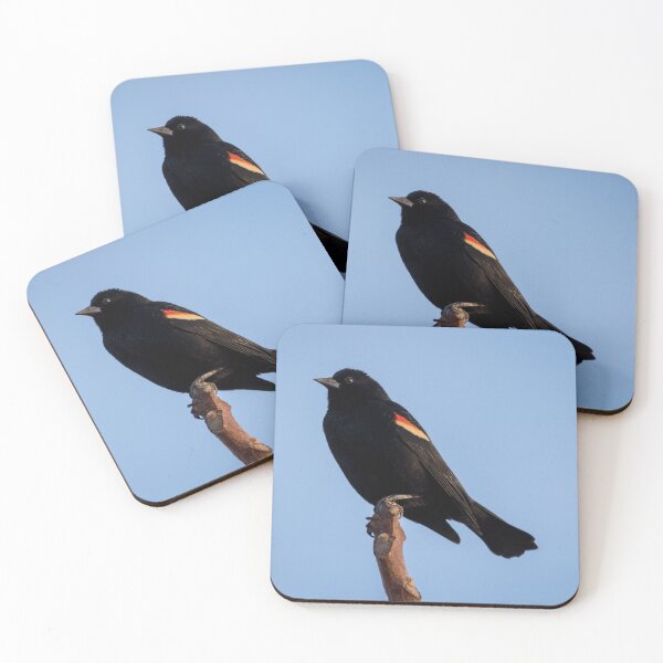 Item preview, Red Winged Blackbird, Agelaius phoeniceus, perched, blue sky designed and sold by Rabbitti.