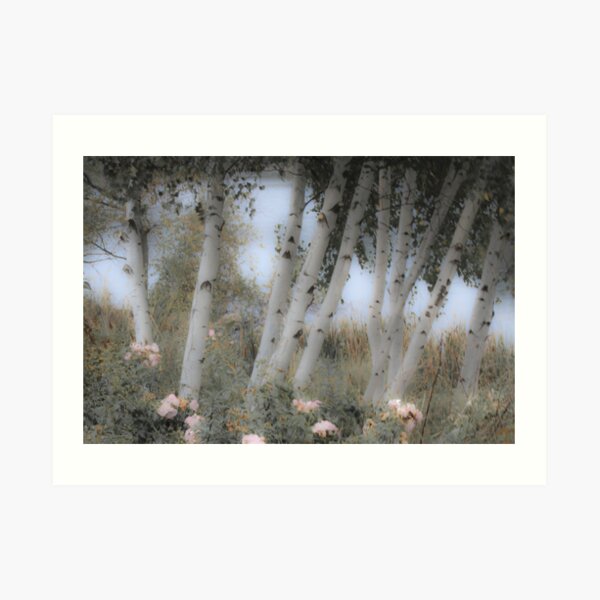 Rose and Birch Art Print