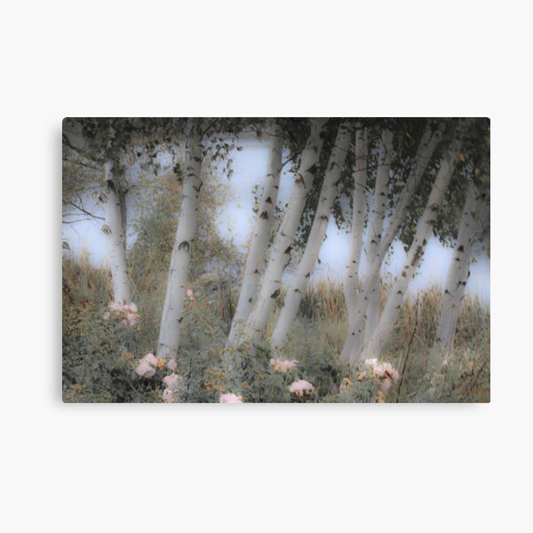 Rose and Birch Canvas Print