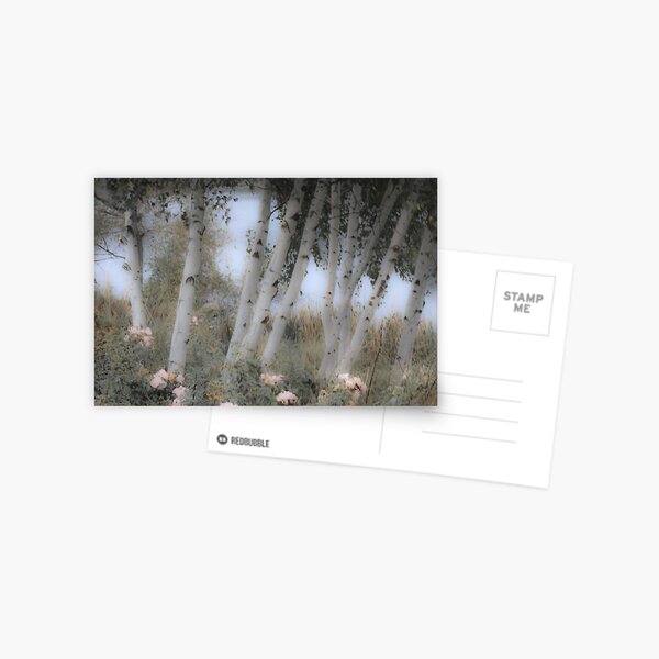 Rose and Birch Postcard