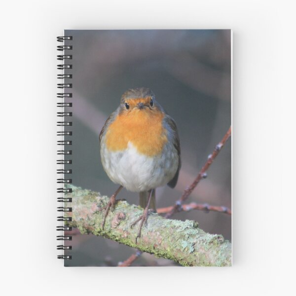 Item preview, Grumpy Robin designed and sold by SBRGdesign.