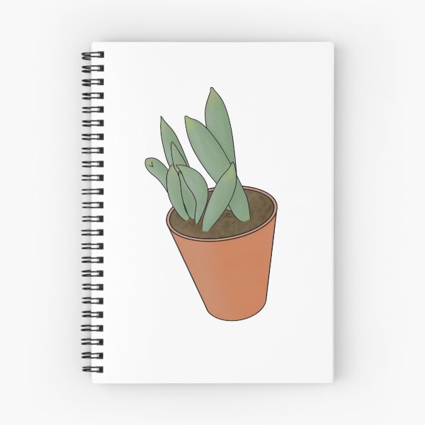 Item preview, Curio Repens succulent designed and sold by Lilehn-art.