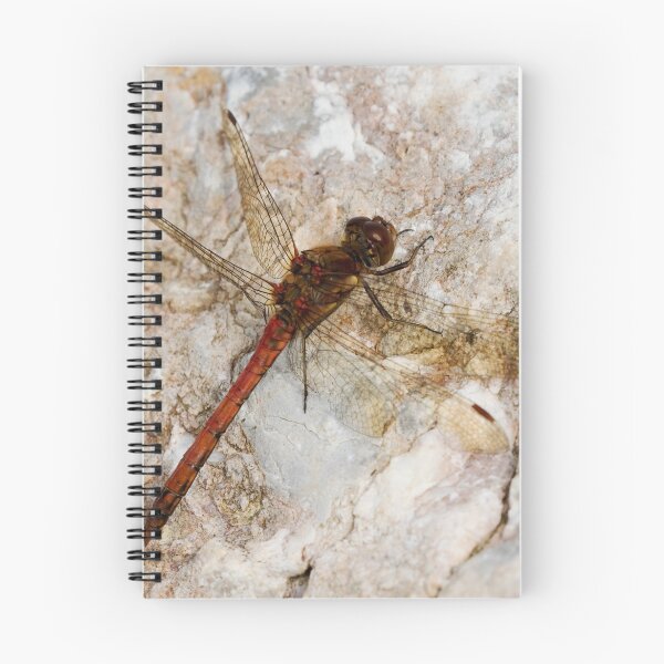 Item preview, Common Darter designed and sold by Neil Bygrave (NATURELENS).