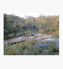 Travels in Walpole Photographic Print