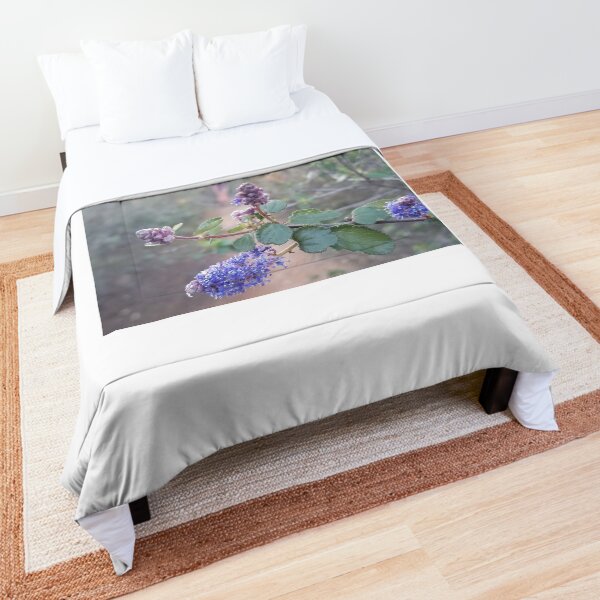 Spring Lilac Comforter