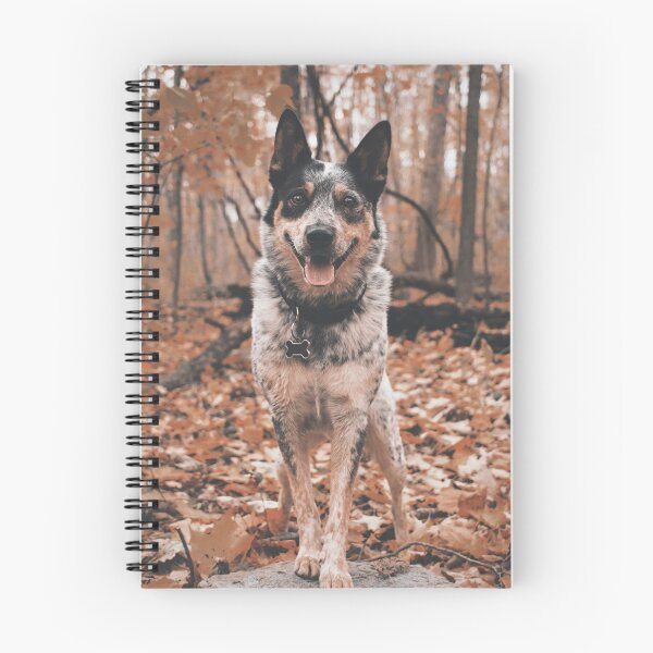 Item preview, Dog in autumn designed and sold by wolfgangrainer.