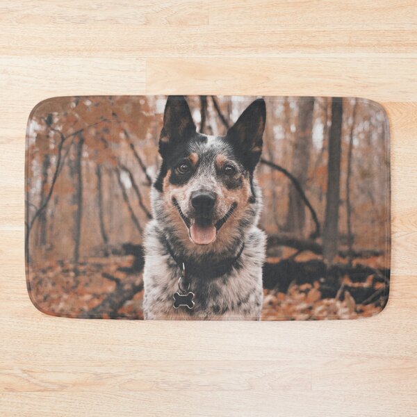 Item preview, Dog in autumn designed and sold by wolfgangrainer.