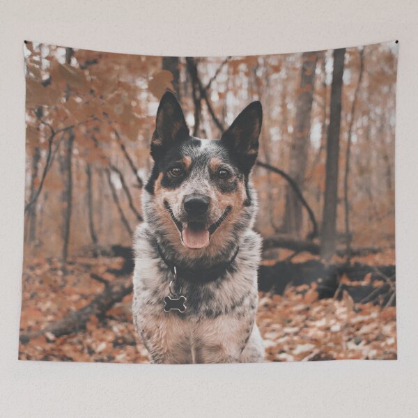 Item preview, Dog in autumn designed and sold by wolfgangrainer.