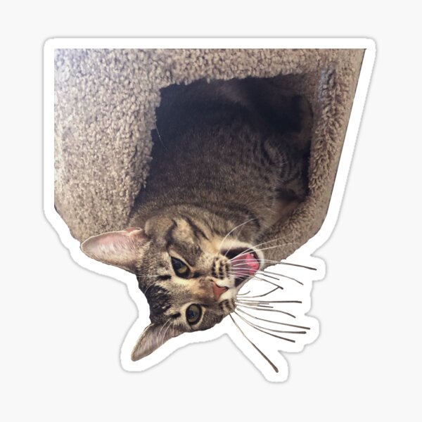 Happy Cat Sticker