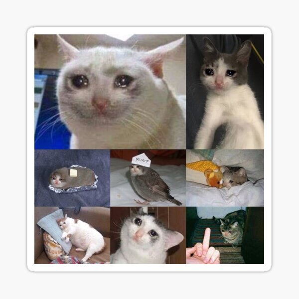 Stickers Sur Le Theme Pleurer Meme Triste Redbubble