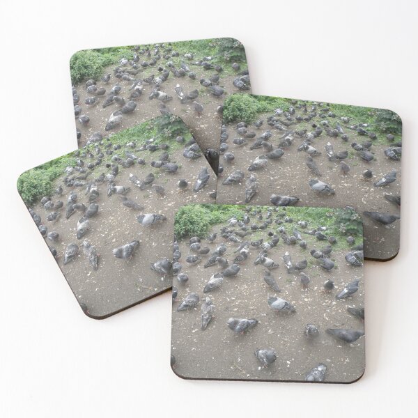Item preview, Path Full of Pigeons Photograph designed and sold by naturegallery.