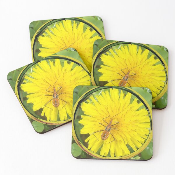 Item preview, Dandelion Host v.2 designed and sold by Mark Polk.