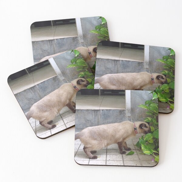 Item preview, Simese cat looking for trouble designed and sold by cuisinecat2.