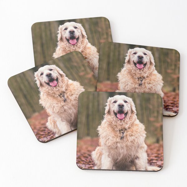 Item preview, Dog in the forest designed and sold by wolfgangrainer.