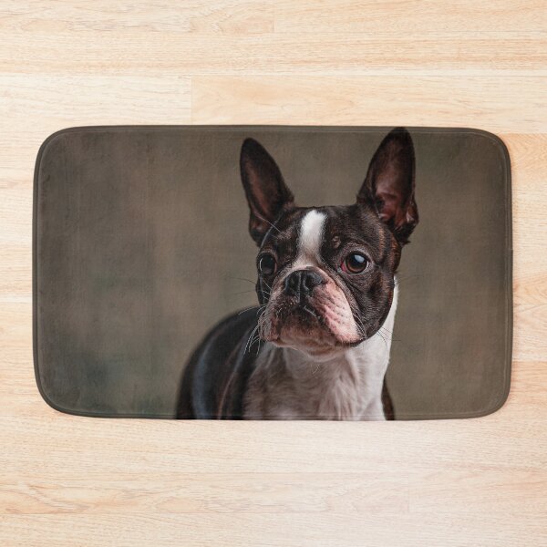 Item preview, French bulldog on armchair designed and sold by wolfgangrainer.