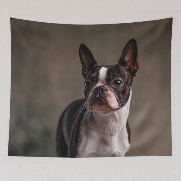 Item preview, French bulldog on armchair designed and sold by wolfgangrainer.