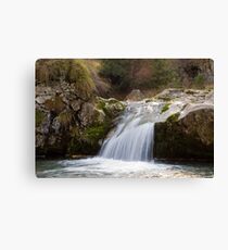 White water Canvas Print