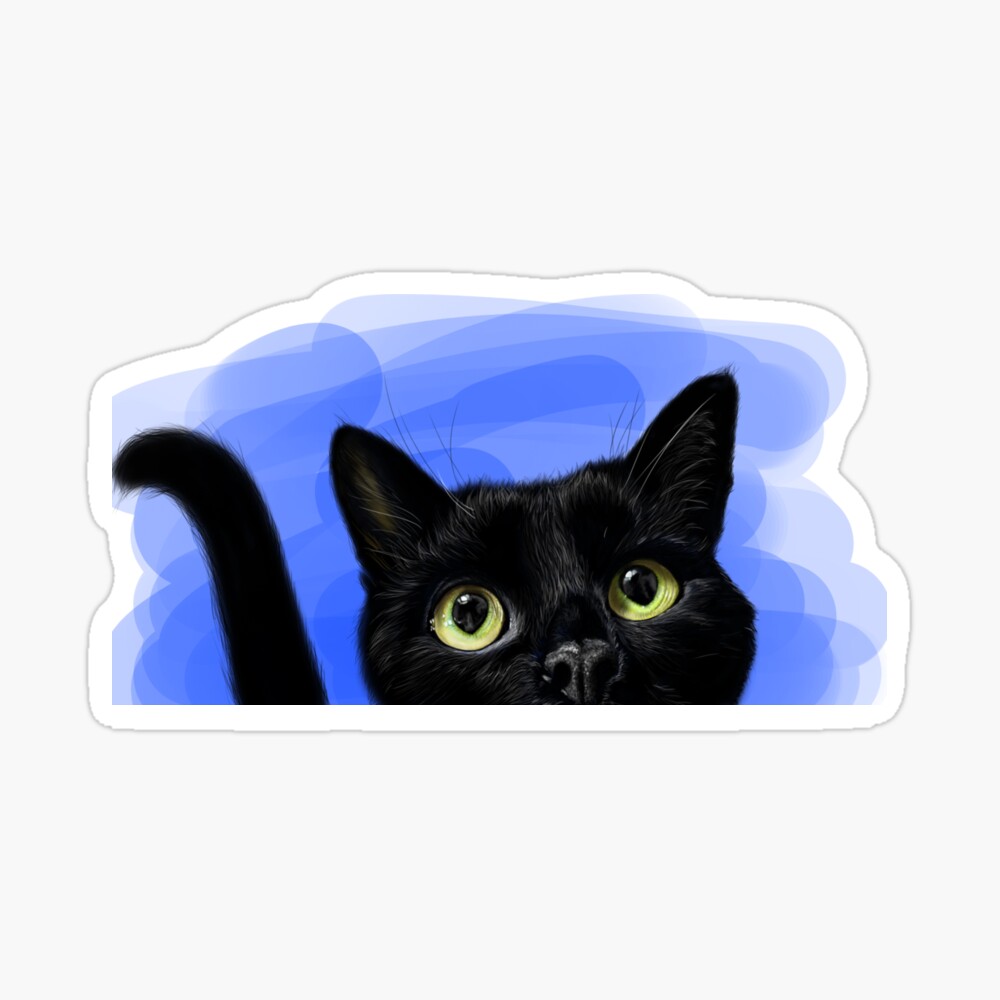 Black cat (black cat) blue
