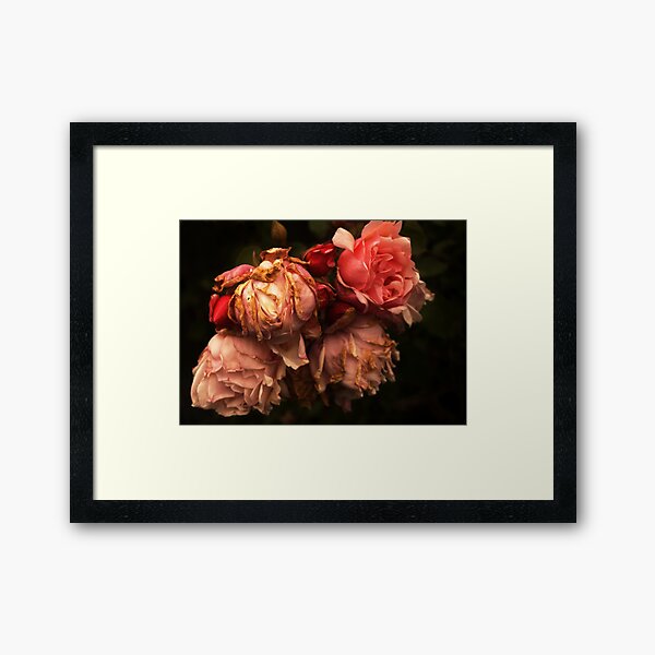Item preview, Withered roses designed and sold by Agnes McGuinness.
