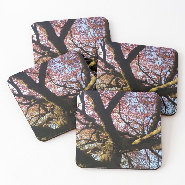 Item preview, Summer Tree Branches designed and sold by Hazel Meades.