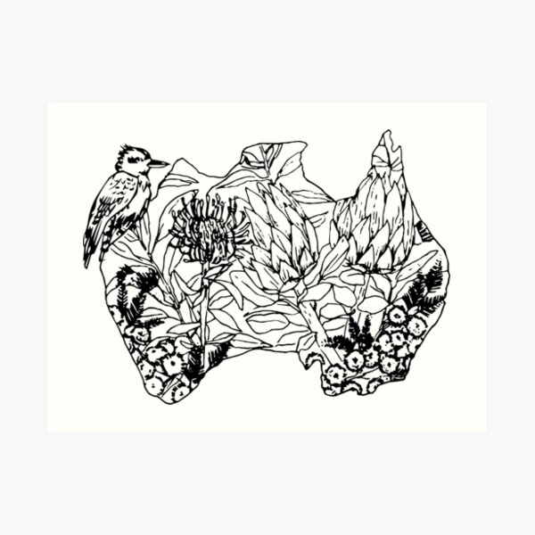 Australian Flora & Fauna Art Print