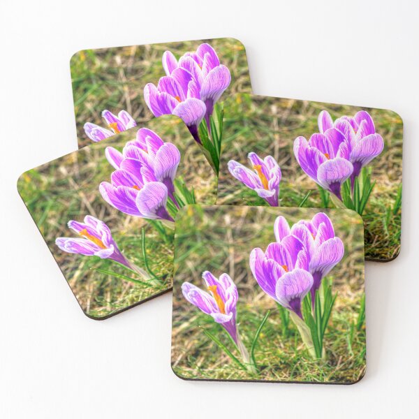 Item preview, Spring Crocuses designed and sold by tomg.