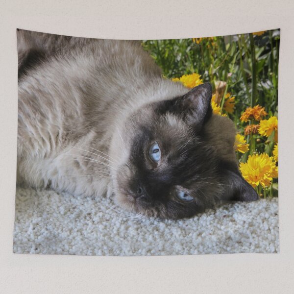 Item preview, Pooka in the Garden designed and sold by heatherfriedman.