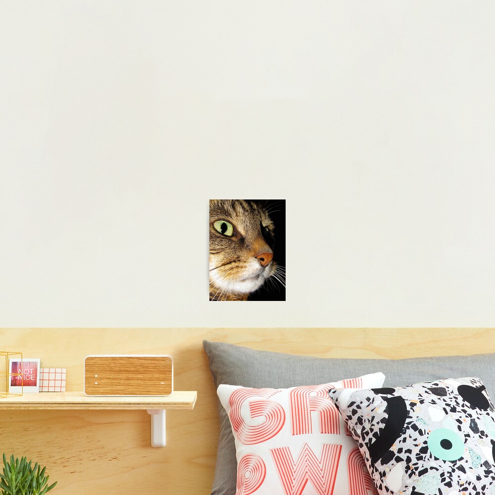 Item preview, Photographic Print designed and sold by whiteleopard.