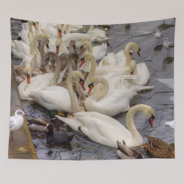Item preview, Swan Lake designed and sold by tomg.