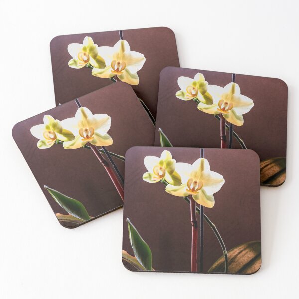Item preview, Mini Me and Me--two orchid blossoms designed and sold by Bryan Spellman.