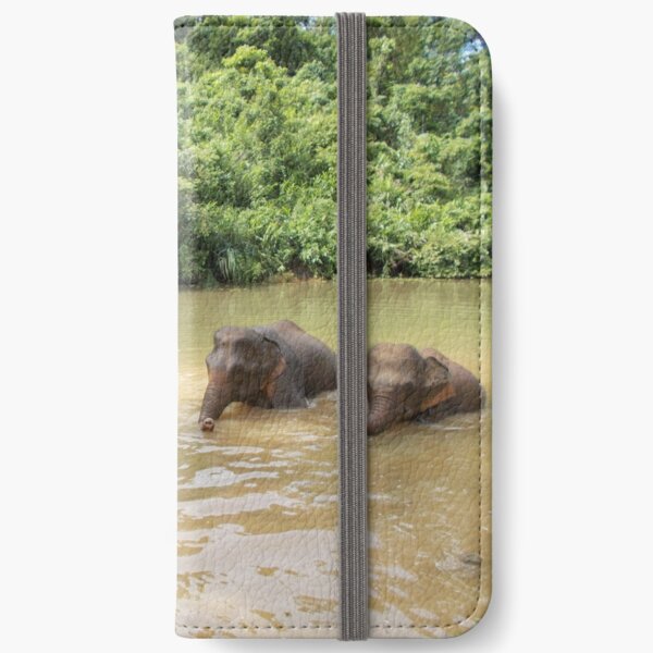 Elephants A-Washin' iPhone Wallet