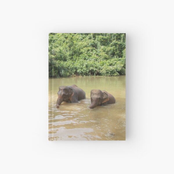 Elephants A-Washin' Hardcover Journal