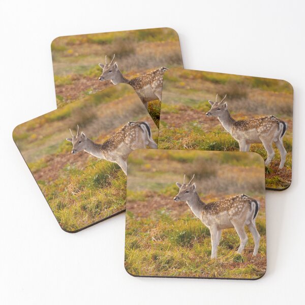 Item preview, Fallow Deer Stag in Autumn designed and sold by Dan Newton.