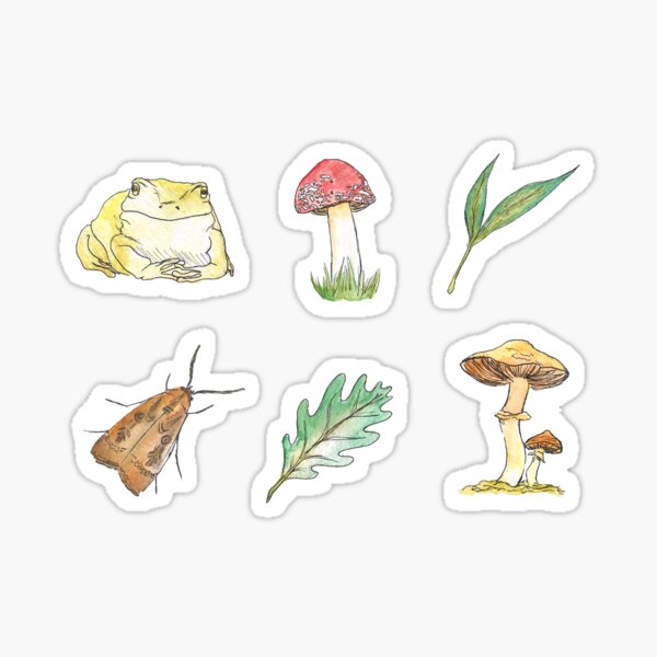 Item preview, woodland stickers - watercolor designed and sold by Preternatural.
