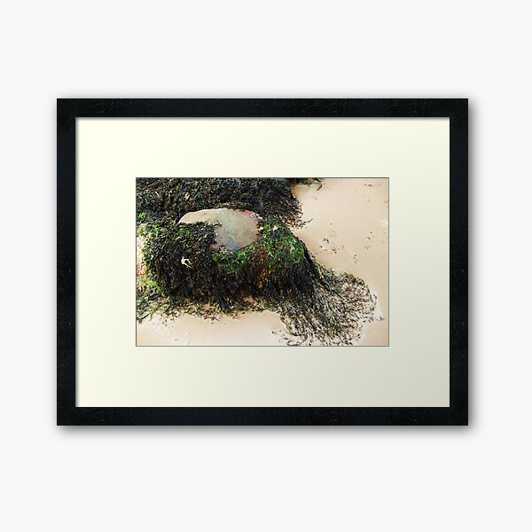 Item preview, Seaweed designed and sold by Agnes McGuinness.