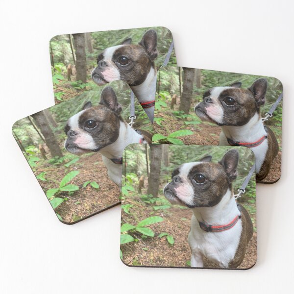 Item preview, Boston Terrier hiking designed and sold by Courtney Carpenter.
