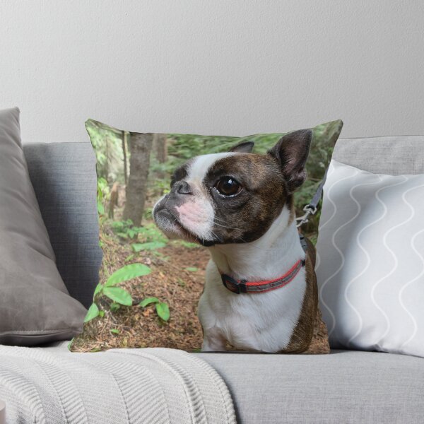 Item preview, Boston Terrier hiking designed and sold by Courtney Carpenter.