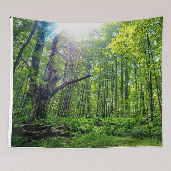 Item preview, Magical Forest designed and sold by VickyGood.