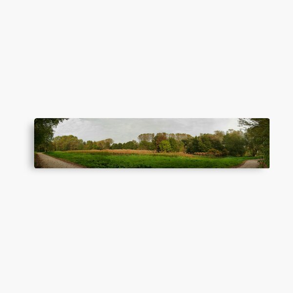 Autumn landscape with Giant Hogweed - panorama Canvas Print