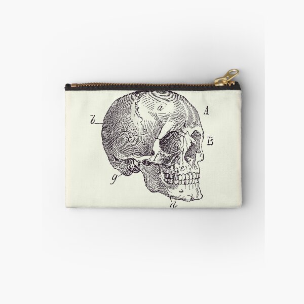 Item preview, Skull Diagram - Vintage Anatomy Poster 2 designed and sold by VAposters.