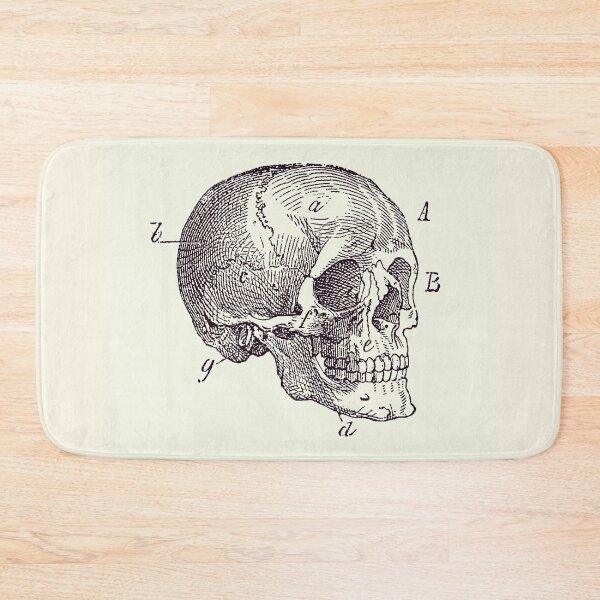 Item preview, Skull Diagram - Vintage Anatomy Poster 2 designed and sold by VAposters.