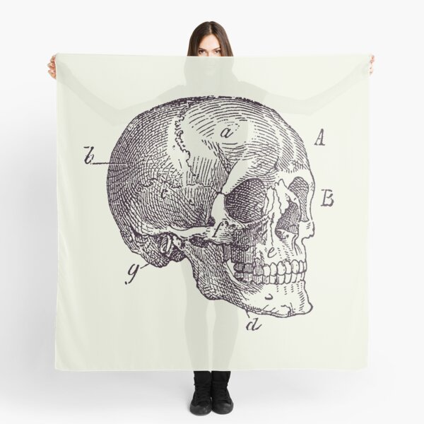 Item preview, Skull Diagram - Vintage Anatomy Poster 2 designed and sold by VAposters.
