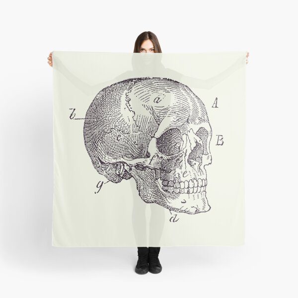 Item preview, Skull Diagram - Vintage Anatomy Poster 2 designed and sold by VAposters.