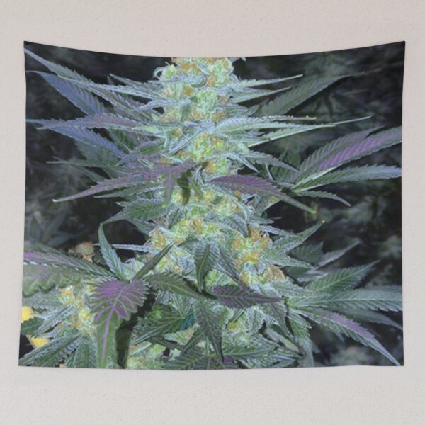 Item preview, Hippy Pretty Marijuana Plant Leaves designed and sold by Sornoran420.