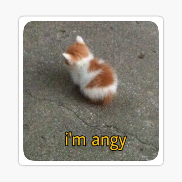 No Talk Me I'm Angry ,cute cat , angry cat , kitty' Sticker