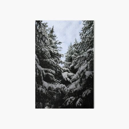 Northern woods, light and dark Art Board Print