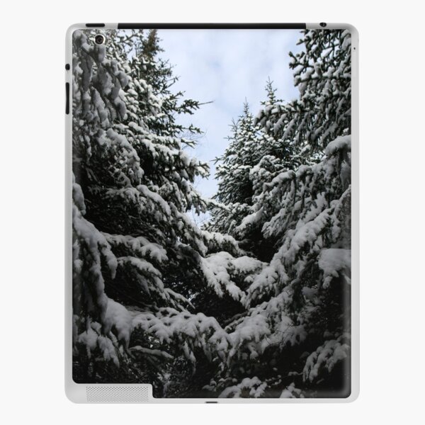 Northern woods, light and dark iPad Skin